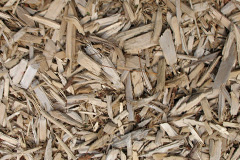 biomass boilers Rogiet